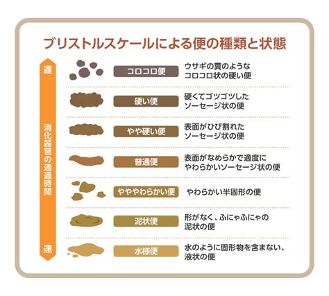 水便原因|お腹がゴロゴロ…痛くないのに水下痢が出る8つの理。